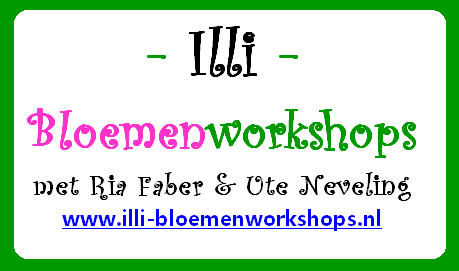 illi-bloemenworkshops.nl